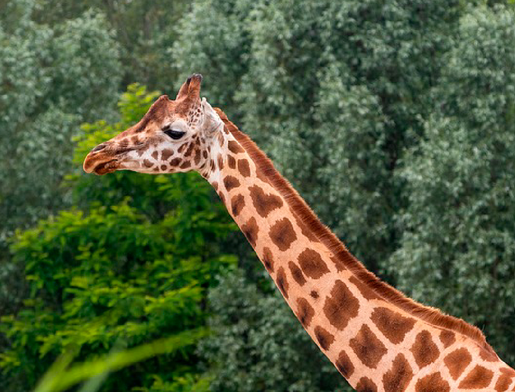 釣り具メーカーのオリジナルポーチを製造致しました！　